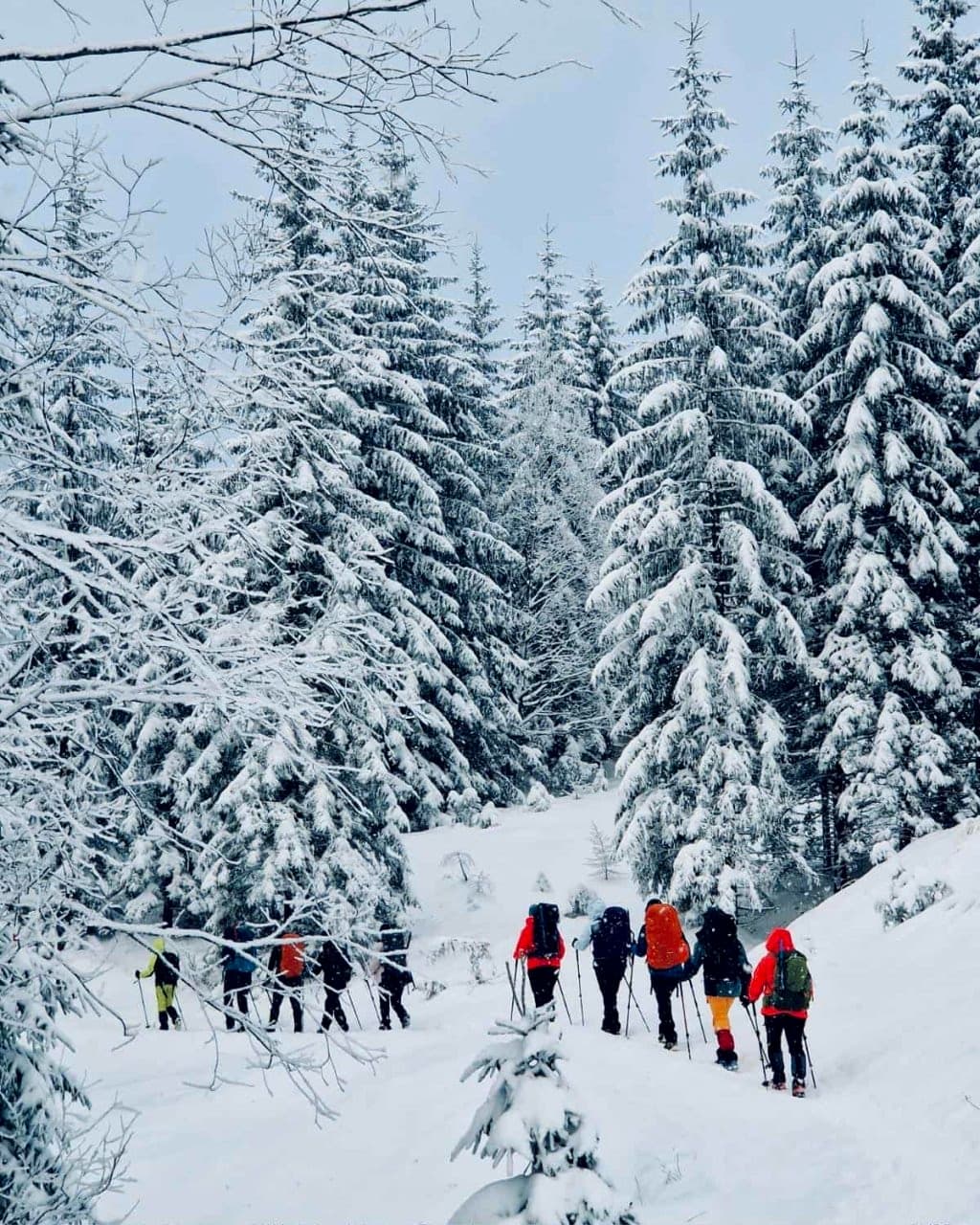 Tatra Girls Sylwester Joga & Trekking Camp