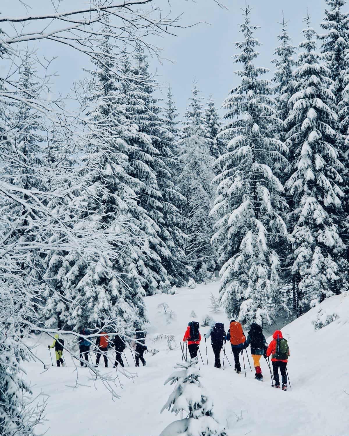 Tatra Girls Sylwester Joga & Trekking Camp — zdjęcie 1
