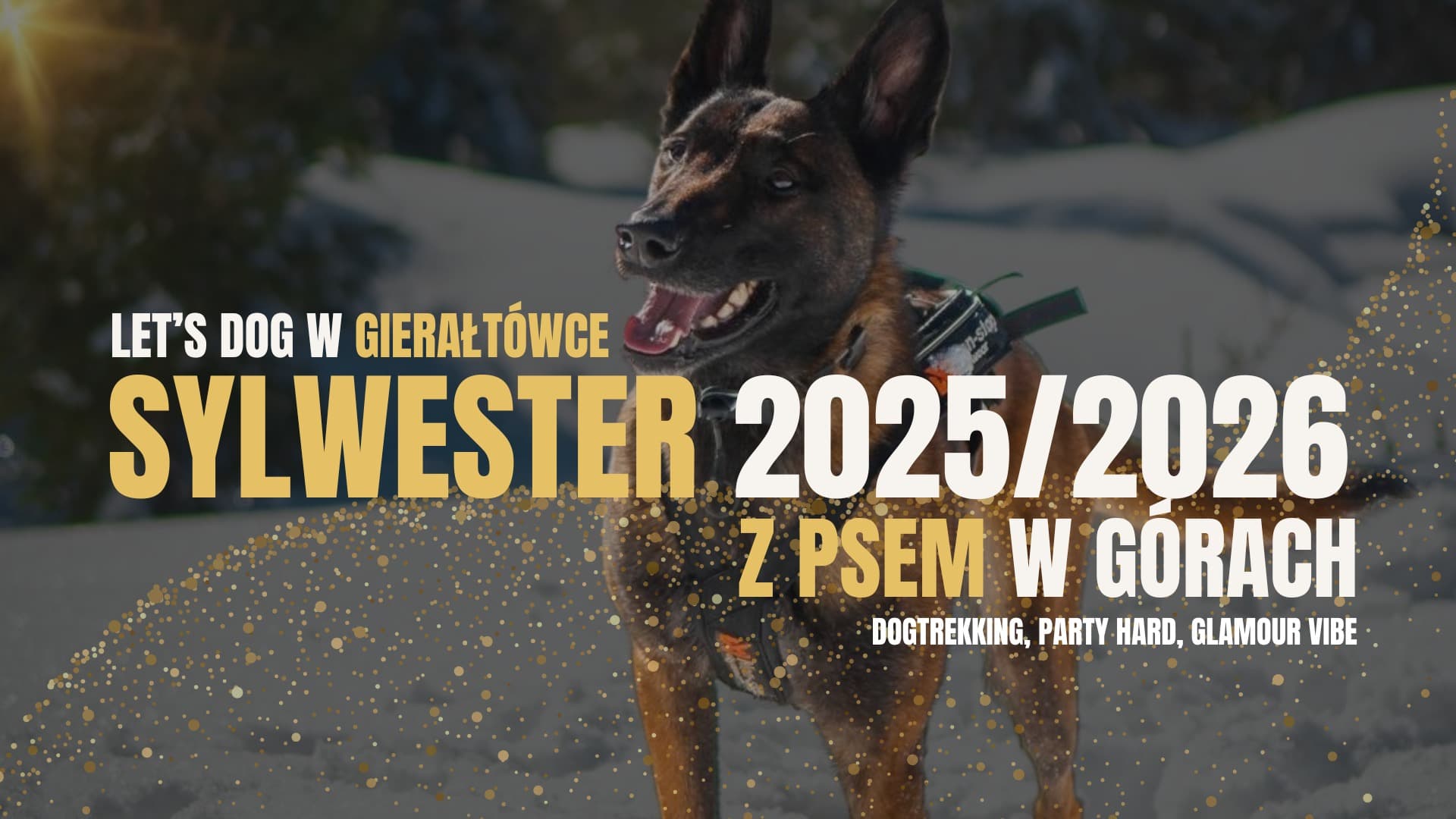 Sylwester 2025/26 z psami w Gierałtówce — zdjęcie 1